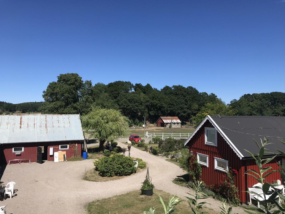 Tuvagard B&B Vindhaestar Langas Zewnętrze zdjęcie